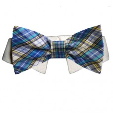 Isaac Bow Tie