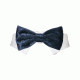 Valentino Bow Tie Blue