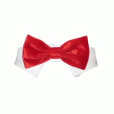 Valentino Bow Tie Red