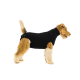 Tuta SUITICAL Recovery Suit for Dogs Black