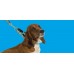 Anchors Aweigh Martingale Collar